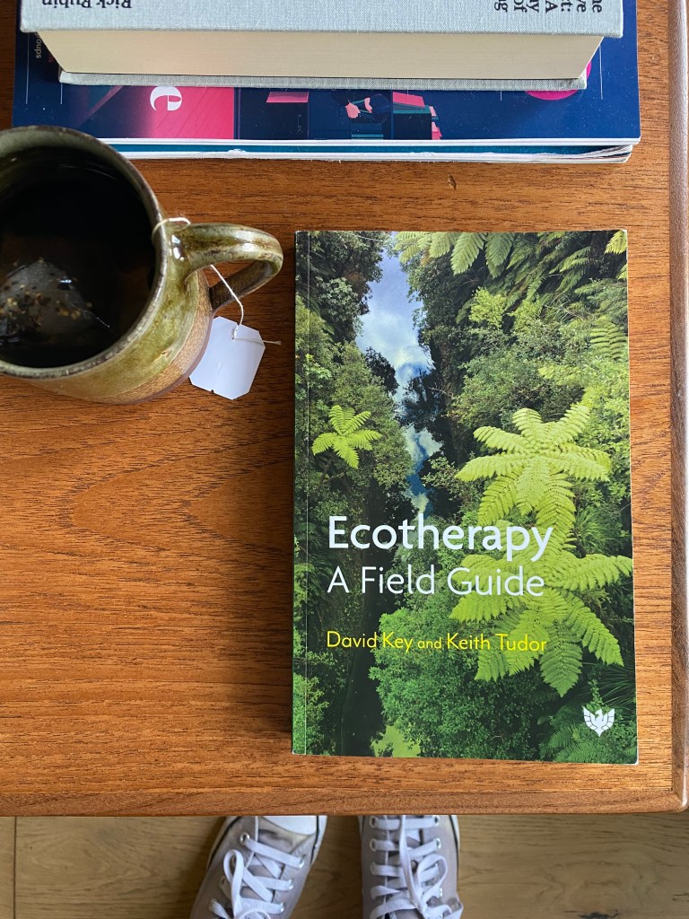A green book on a coffee table.