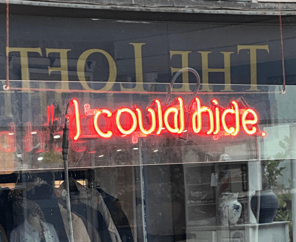 A neon sign in a shop window. The sign says, 'I could hide.'